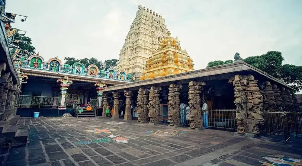 malikarurn-image